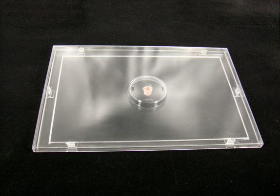 3D打印--半透明树脂材料