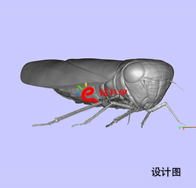 3D打印生物标本3