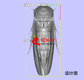 3D打印生物标本4