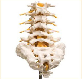 脊椎金属植入物3